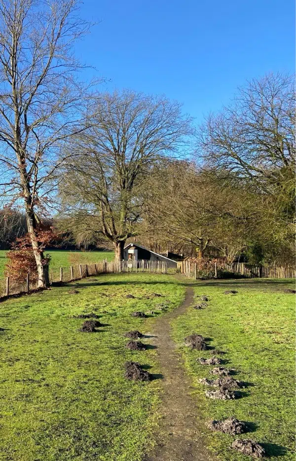 Retraite bij kanker 'Herbronnen' voor naasten
