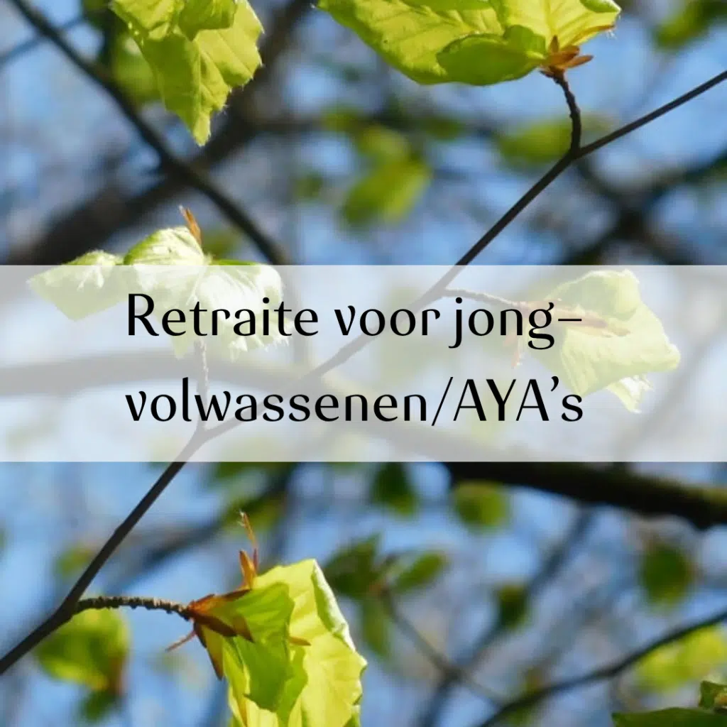 Retraite voor jong volwassenen/AYA's