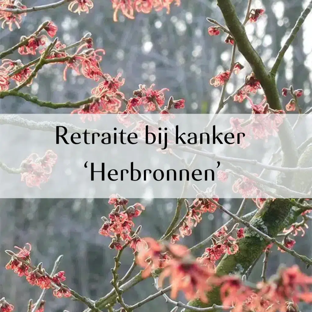 Retraite bij kanker 'Herbronnen'